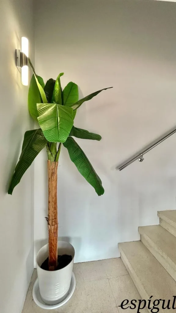 Casa de 6 habitacions en venda a la urbanització Els Pins amb vistes al mar