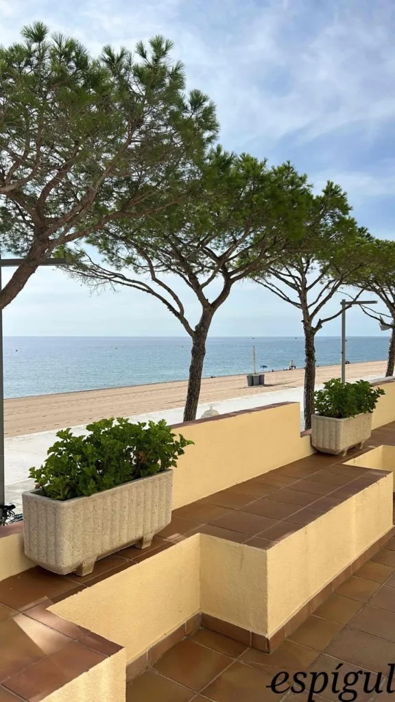 Estudi a primera línia a Platja d’Aro