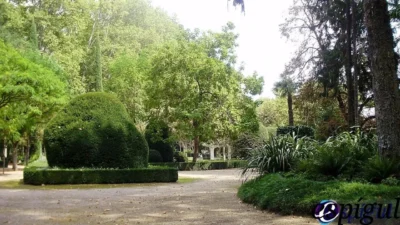 Local comercial de 60 m²