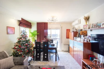 Nice apartment for sale in Sant Narcís