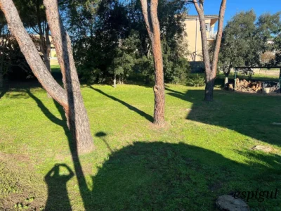 Parcelas exclusivas con superficies entre los 500 y los 650 metros cuadrados
