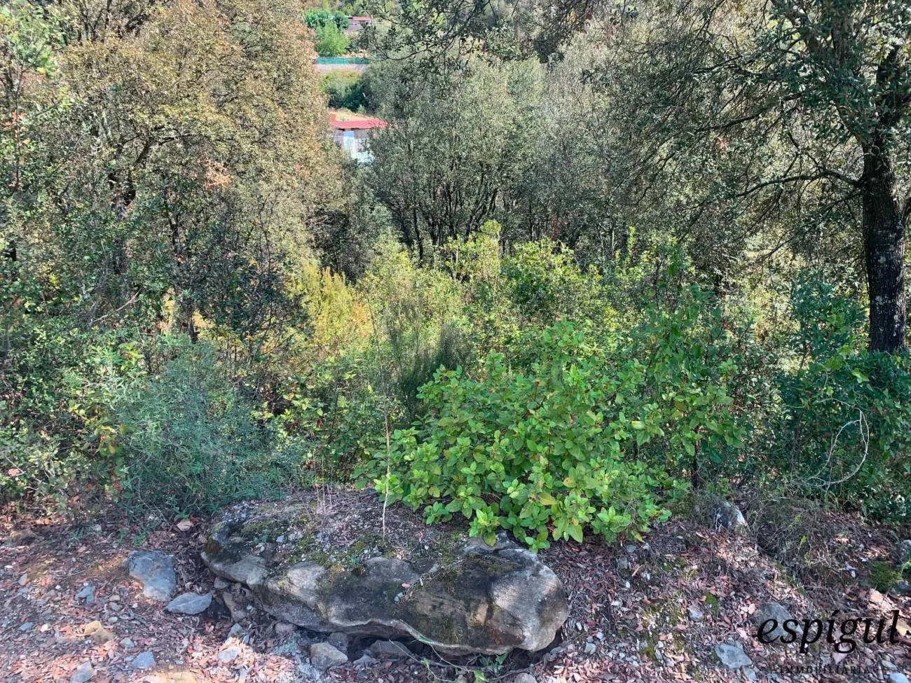 Parcela de 800 metros en Sant Martí de Llémena