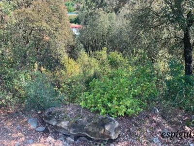 Parcelle de 800 mètres carrés située à Sant Martí de Llémena