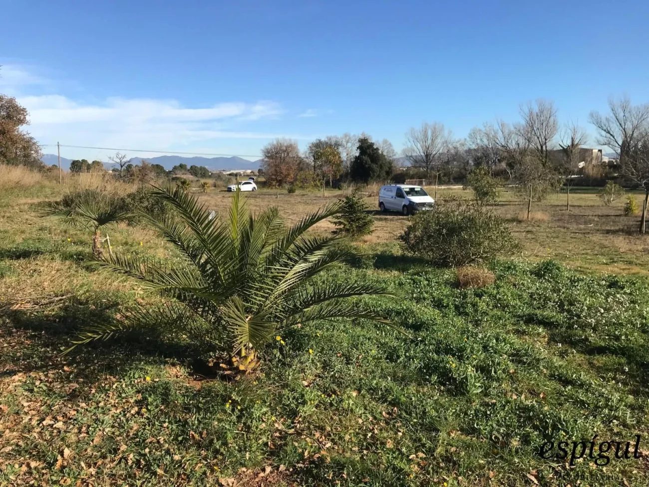 Parcel·la d´ús agrícola a Vilamalla