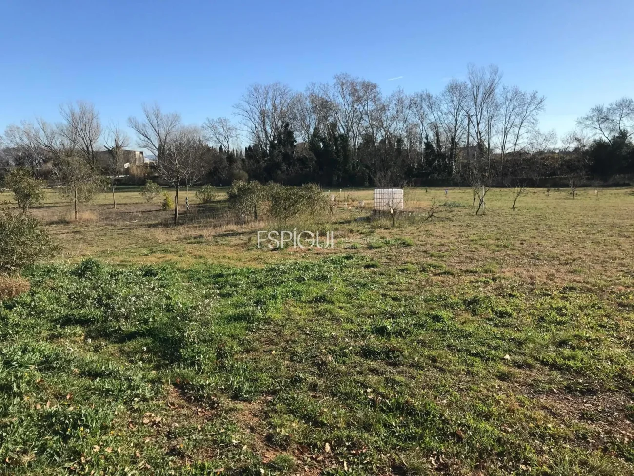 Parcela de uso agrícola en Vilamalla