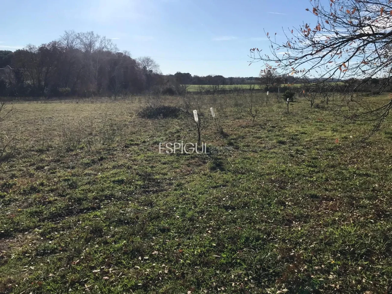 Parcela de uso agrícola en Vilamalla