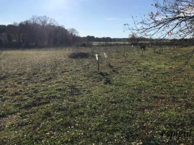 Parcel·la d´ús agrícola a Vilamalla