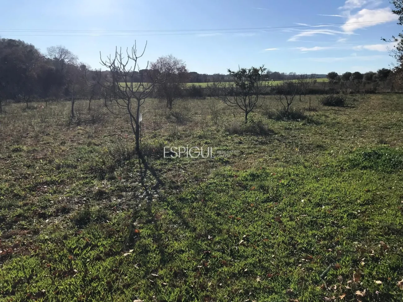 Parcela de uso agrícola en Vilamalla