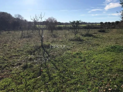 Parcela de uso agrícola en Vilamalla