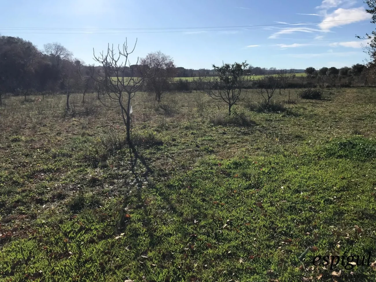 Parcel·la d´ús agrícola a Vilamalla