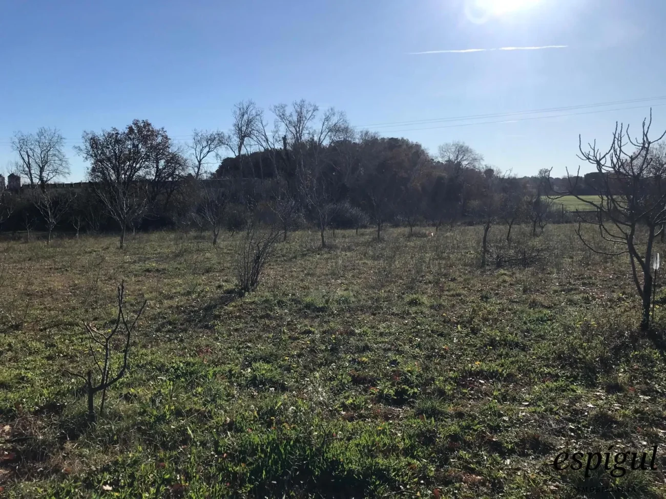 Parcel·la d´ús agrícola a Vilamalla