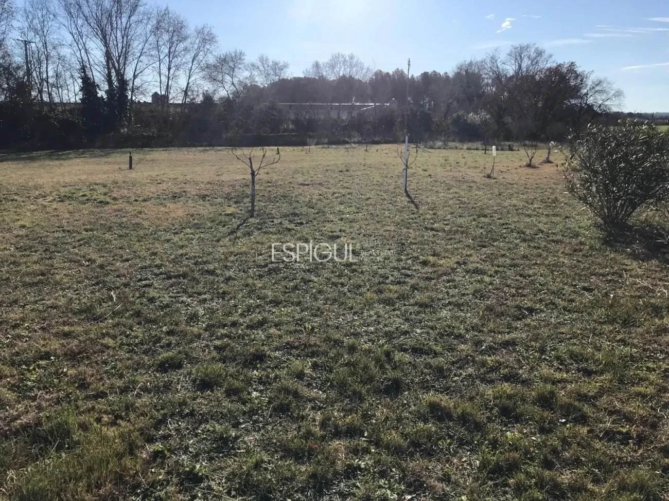 Parcela de uso agrícola en Vilamalla