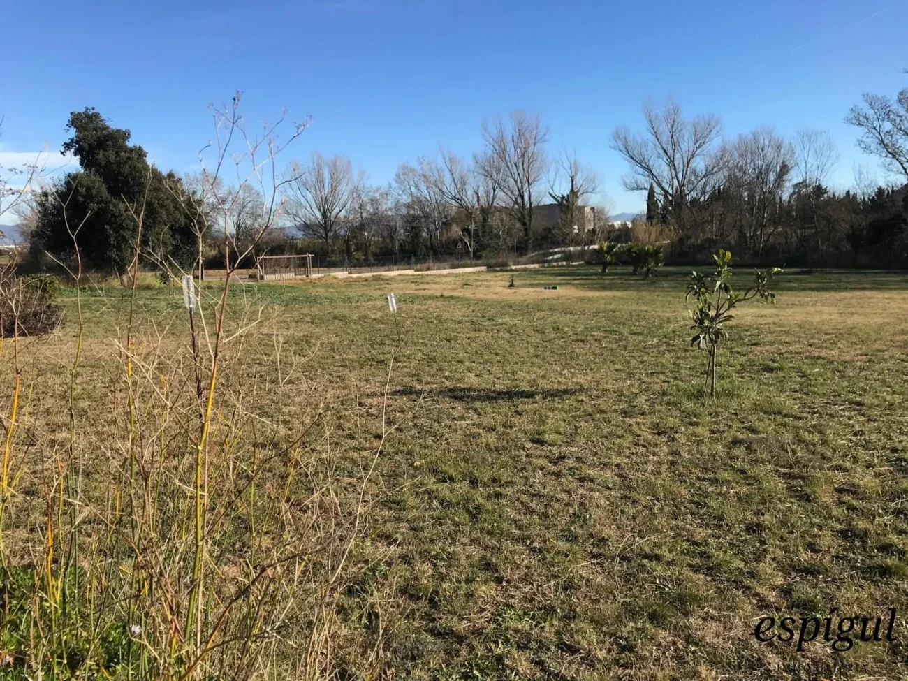 Parcel·la d´ús agrícola a Vilamalla