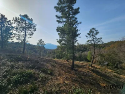 Terrain urbain de 2400 m² à Mas Llunes de Bescanó