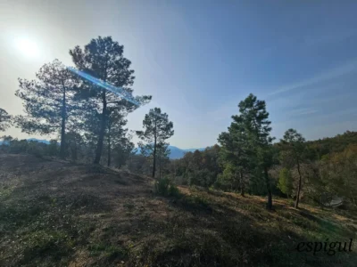 Terrain urbain de 2400 m² à Mas Llunes de Bescanó