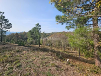 Baugrundstück von 2400 m² in Mas Llunes de Bescanó