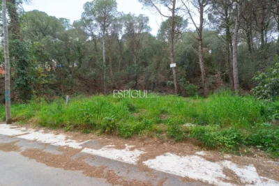 Земельный участок на продажу в Калонже