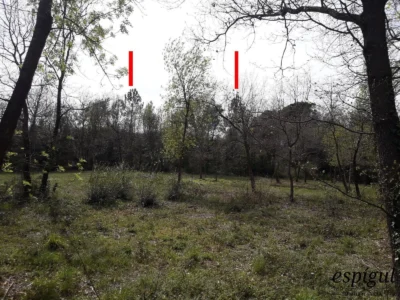 Urban plot of 800 m² at Barceloneta Avenue in Sils