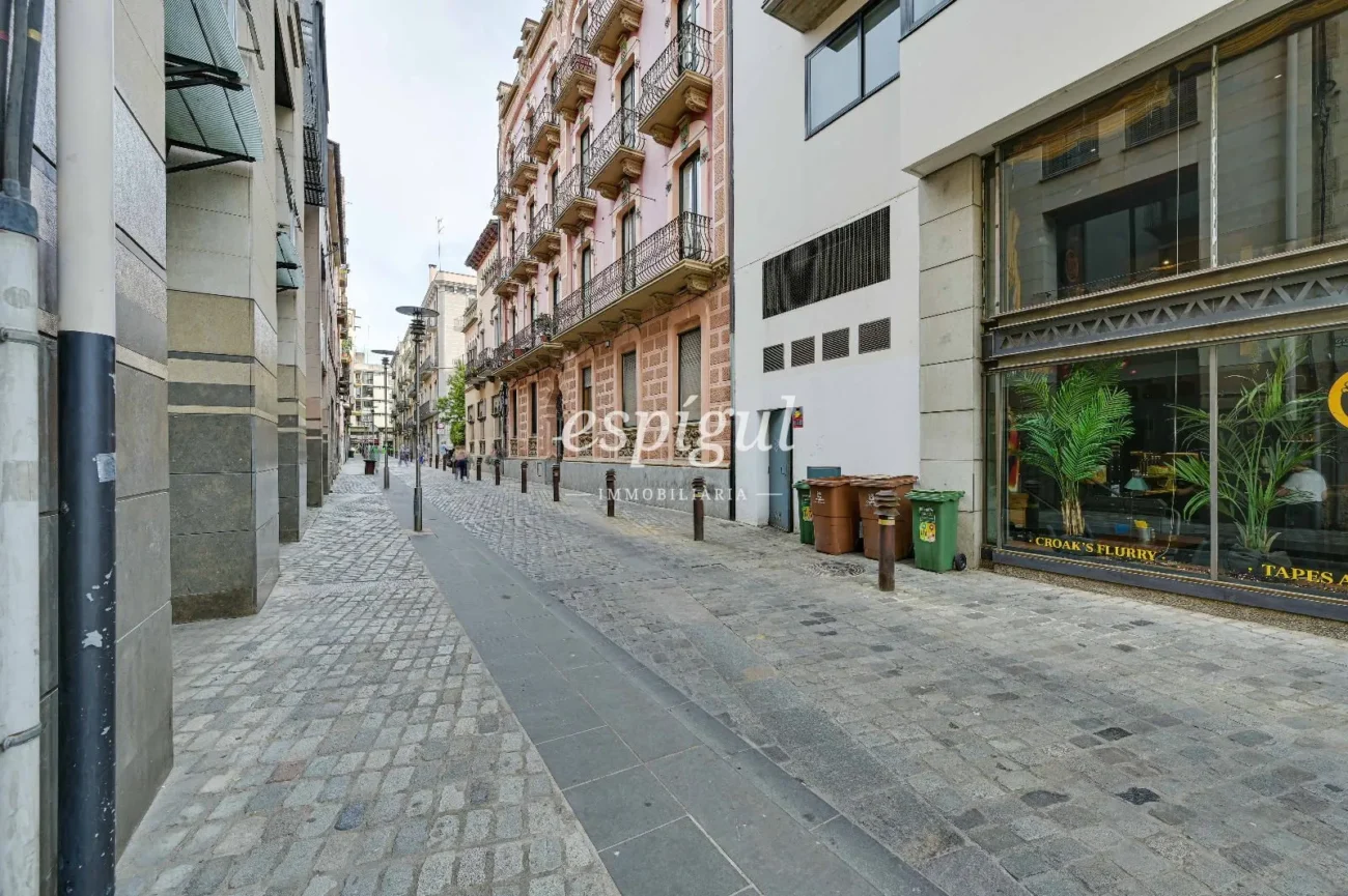 Appartement exclusif avec jardin privé dans le Barri Vell de Gérone