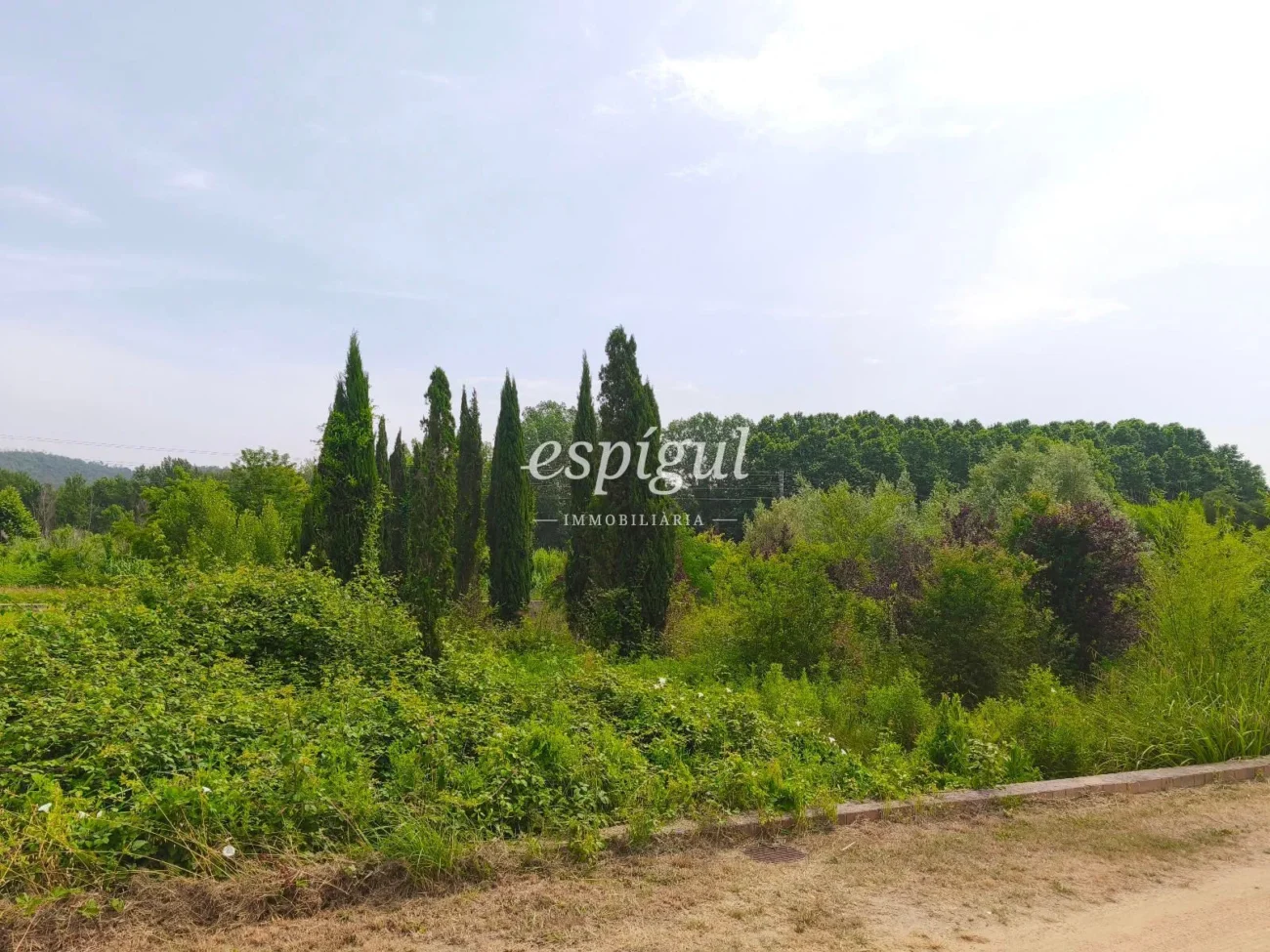 Terreno ideal para viveros o agrícola