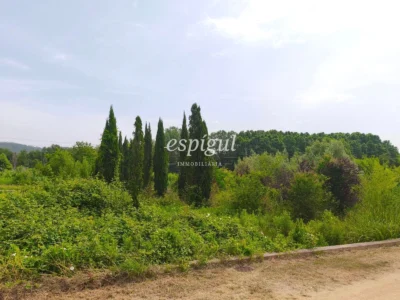 Terreno ideal para viveros o agrícola
