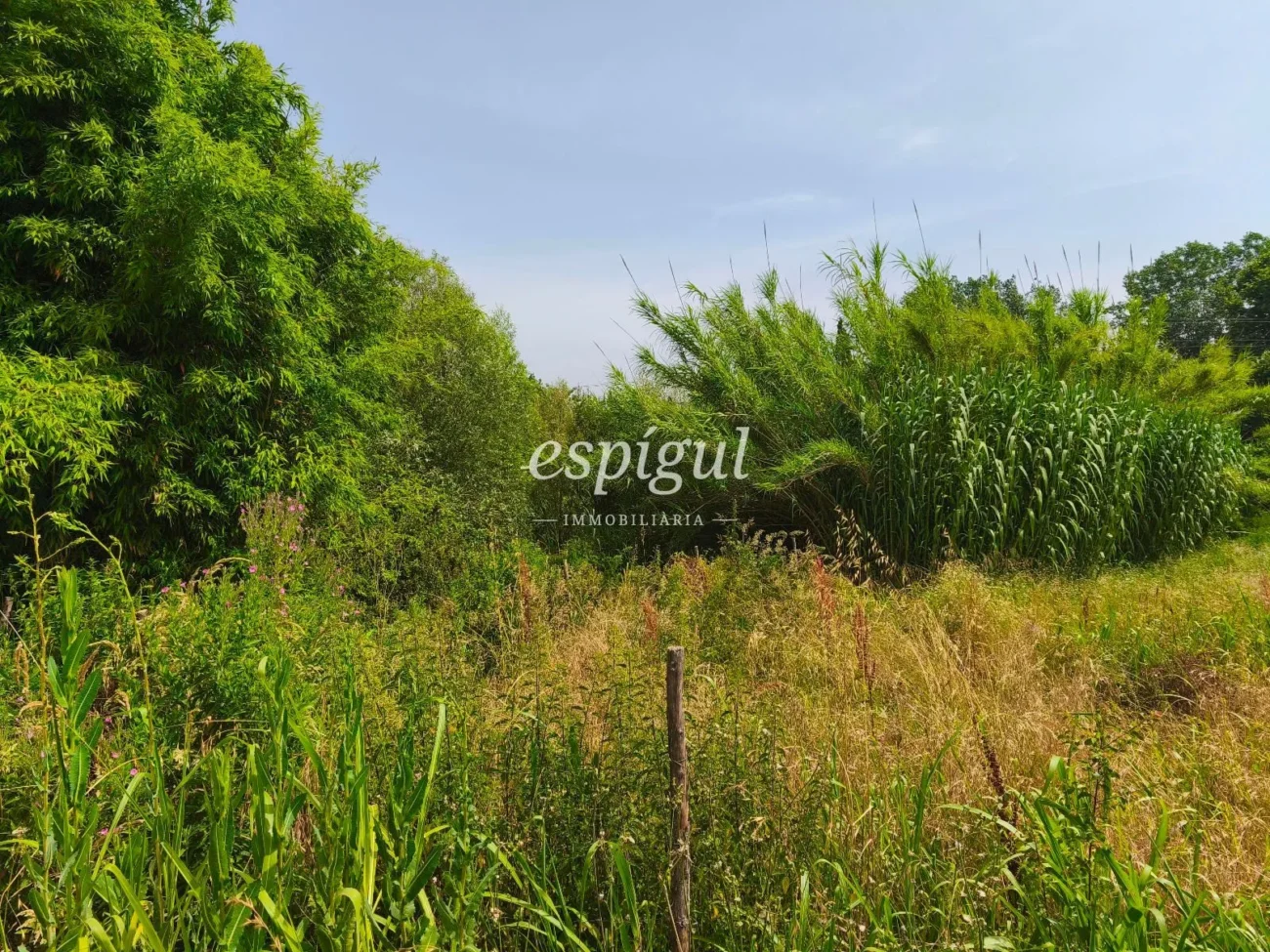 Terreno ideal para viveros o agrícola