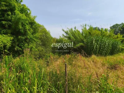 Terreno ideal para viveros o agrícola