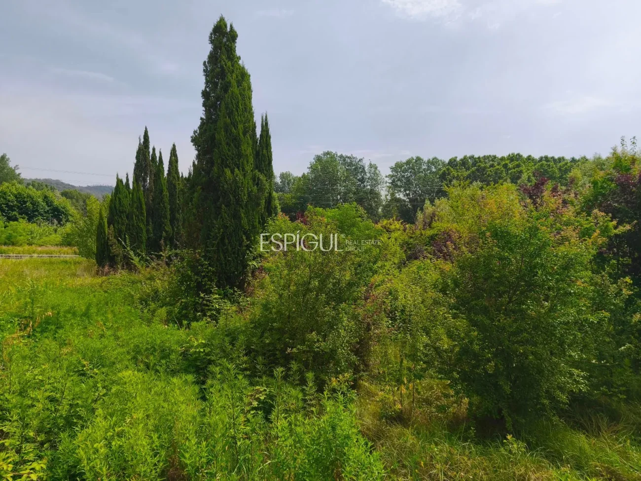 Идеальная земля для питомников или сельского хозяйства