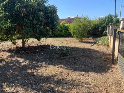 Urban Plot in Les Roques – Calabuig (Báscara)