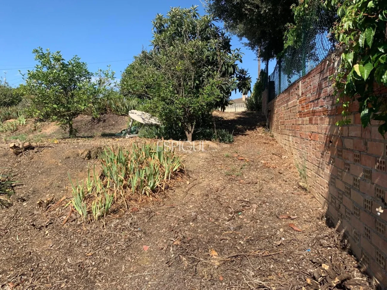 Urban Plot in Les Roques – Calabuig (Báscara)