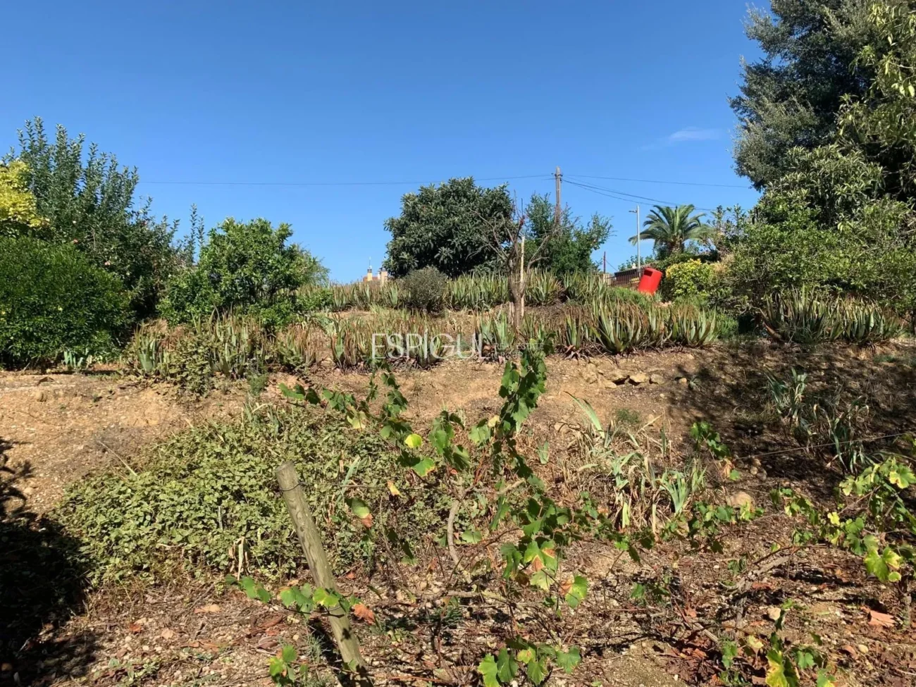 Urban Plot in Les Roques – Calabuig (Báscara)