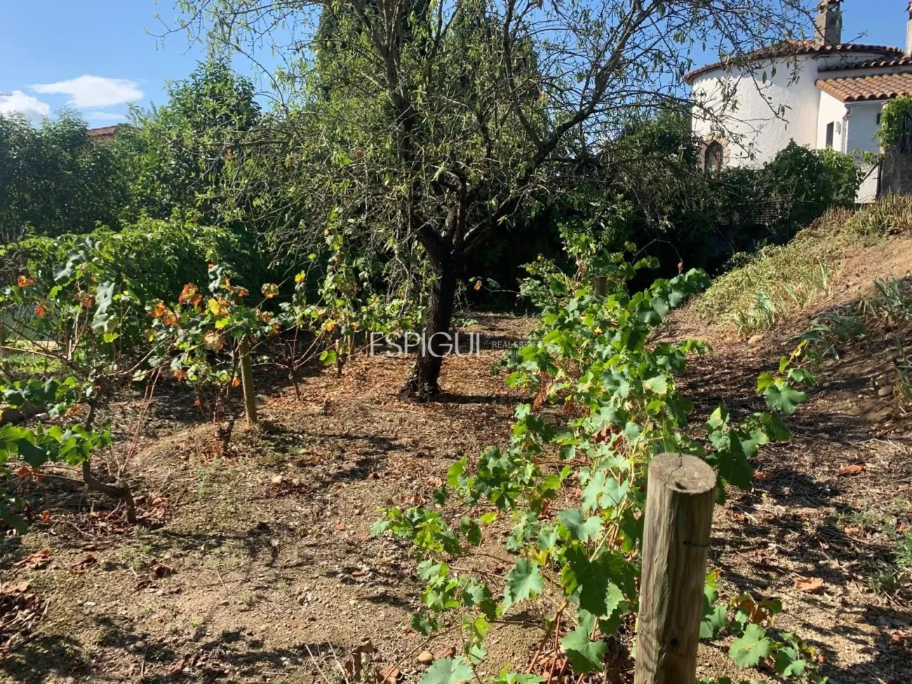 Urban Plot in Les Roques – Calabuig (Báscara)