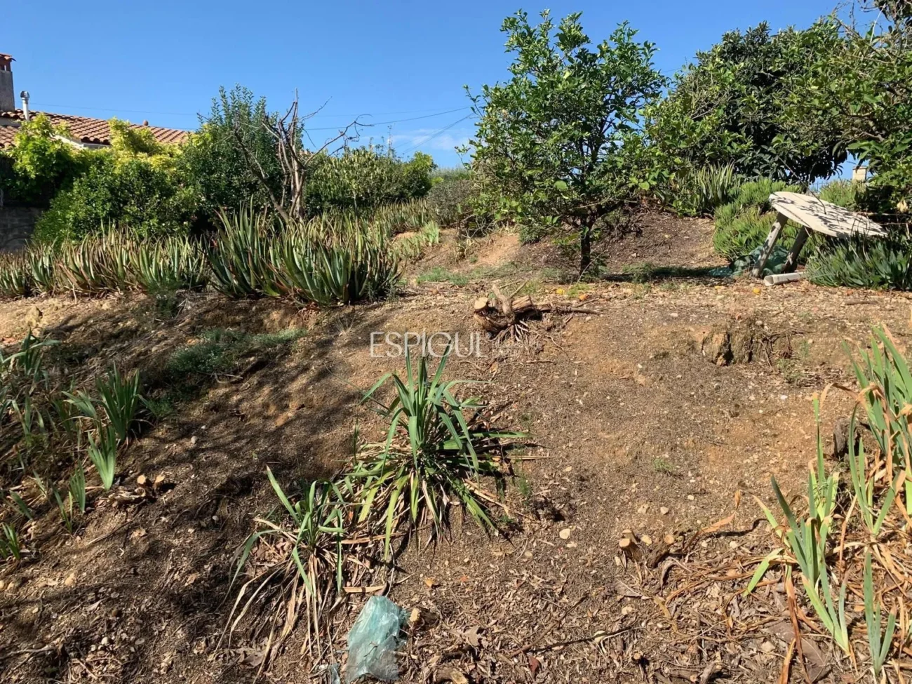 Urban Plot in Les Roques – Calabuig (Báscara)