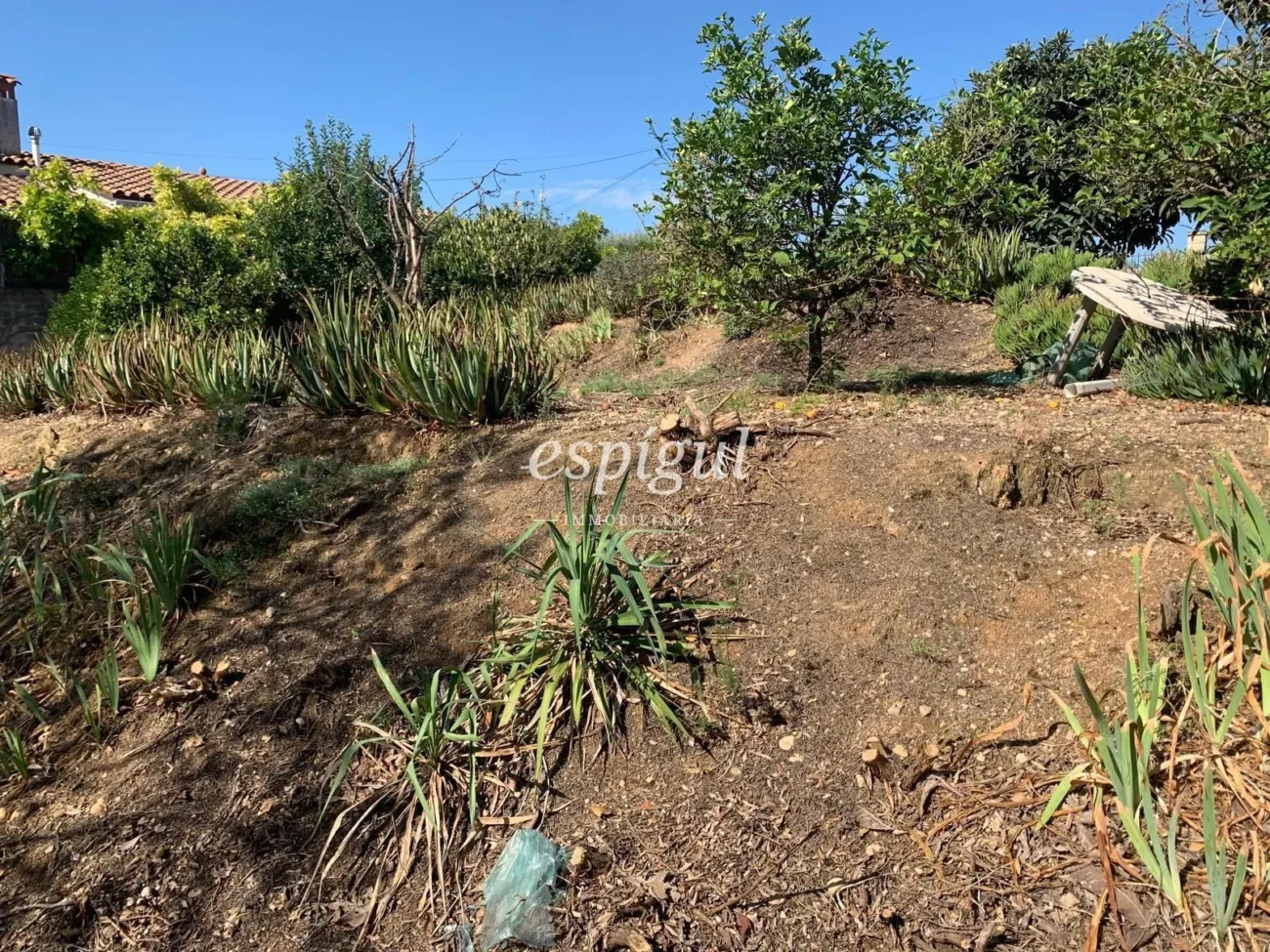 Parcel-la urbana a Les Roques – Calabuig (Báscara)
