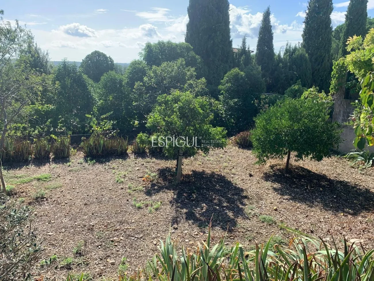 Urban Plot in Les Roques – Calabuig (Báscara)