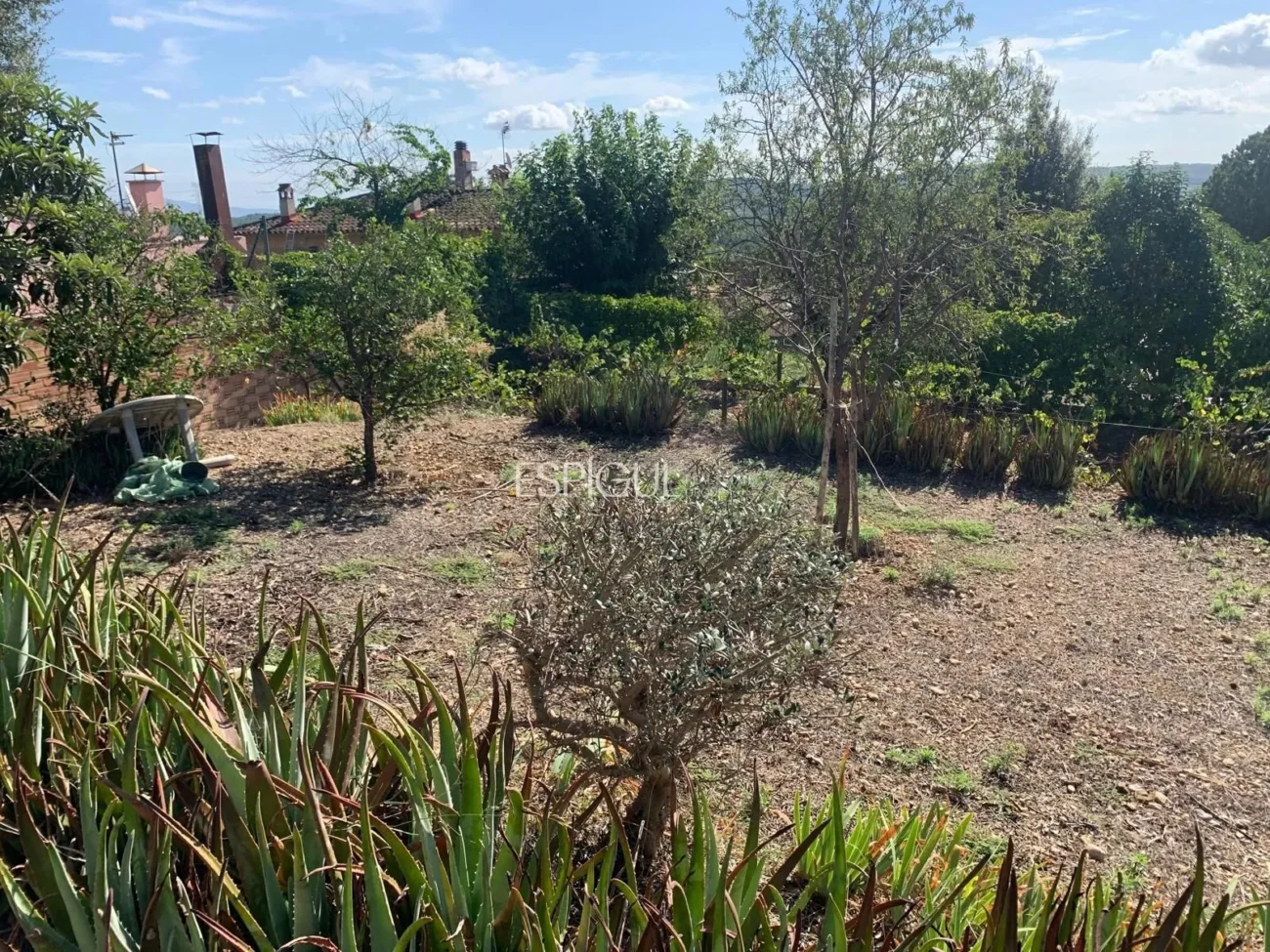 Urban Plot in Les Roques – Calabuig (Báscara)