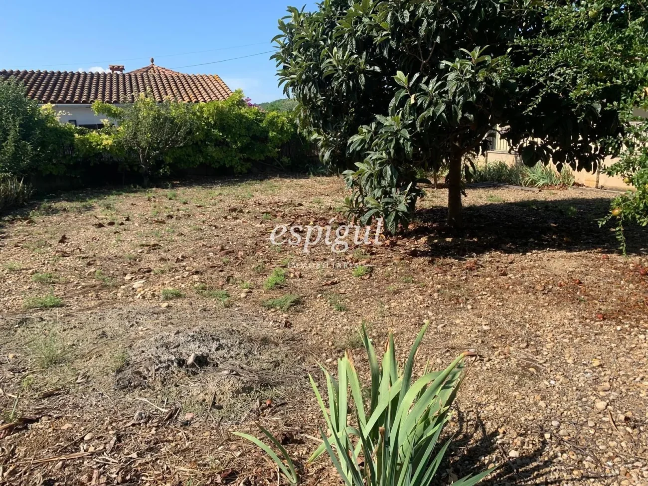Parcel-la urbana a Les Roques – Calabuig (Báscara)