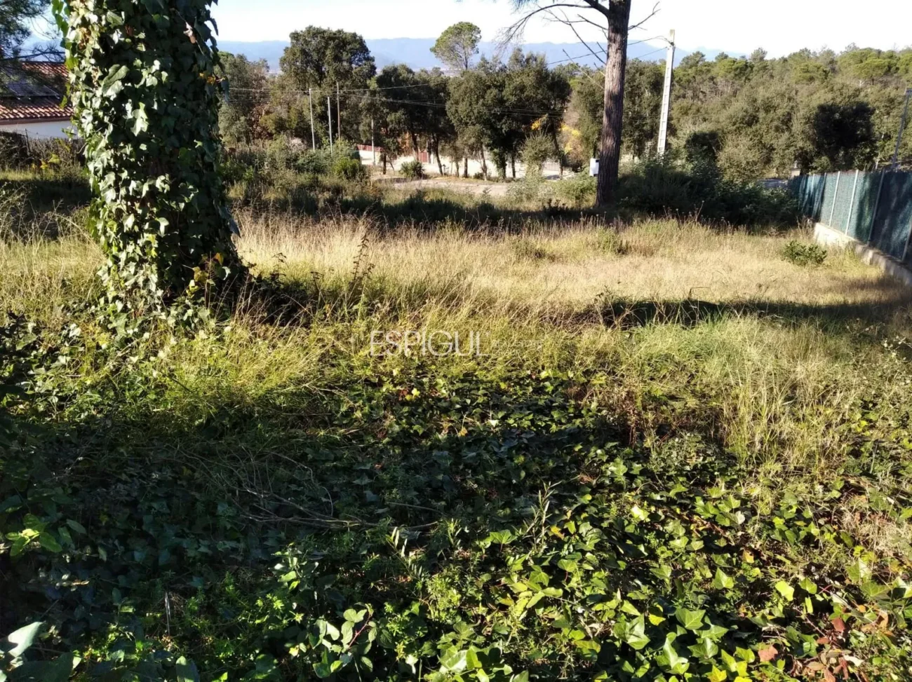 Terreno amplio en Sils, ideal para tu futuro hogar