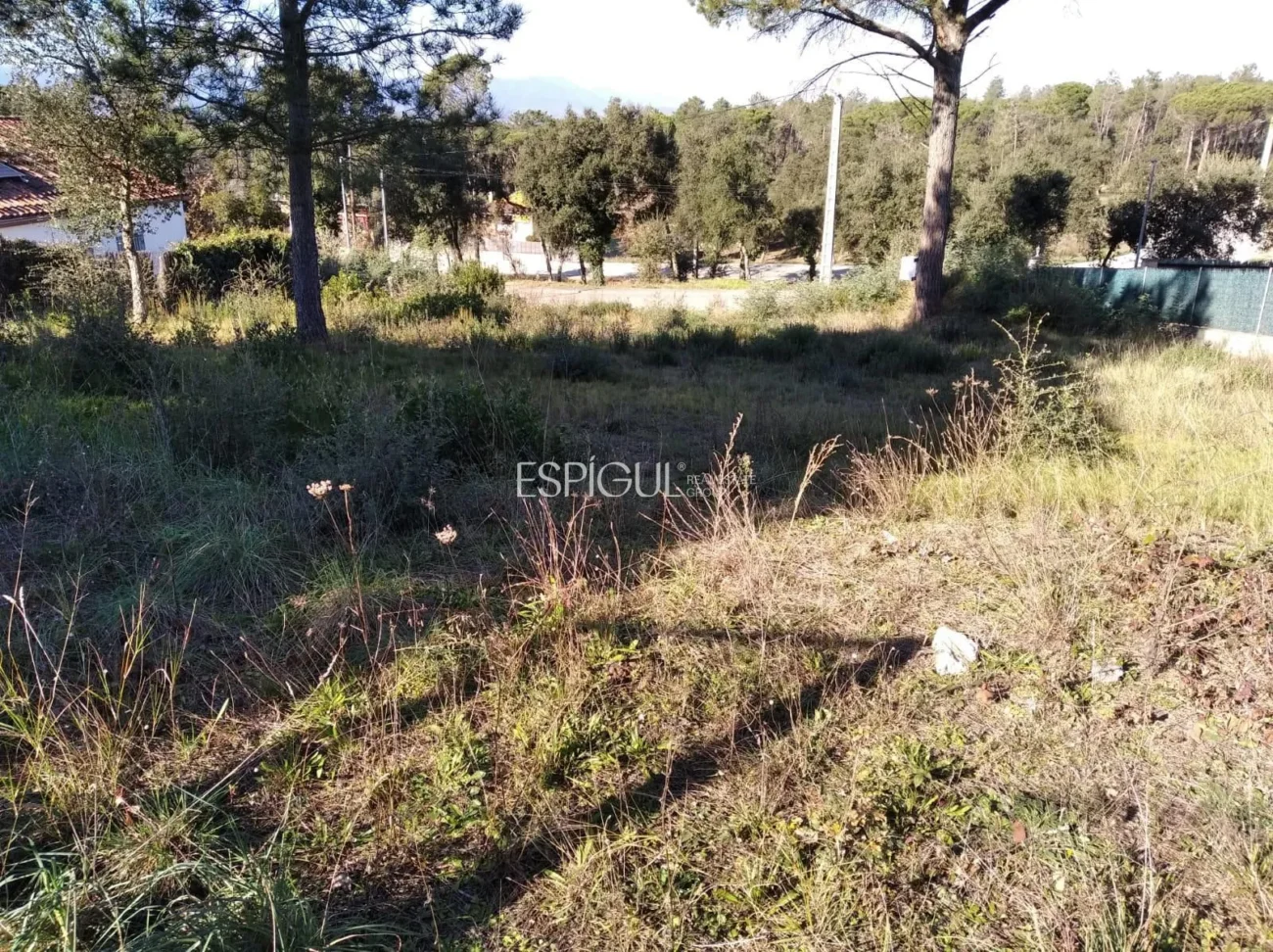 Terreno amplio en Sils, ideal para tu futuro hogar