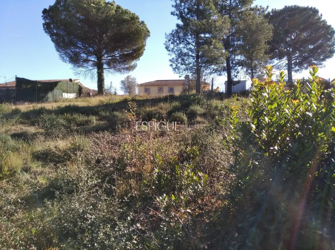 Terreno amplio en Sils, ideal para tu futuro hogar