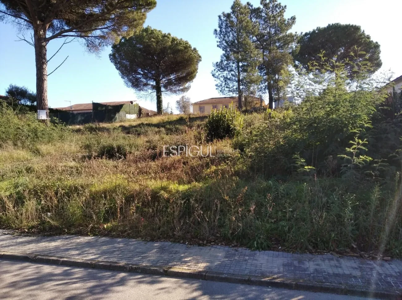 Terreno amplio en Sils, ideal para tu futuro hogar