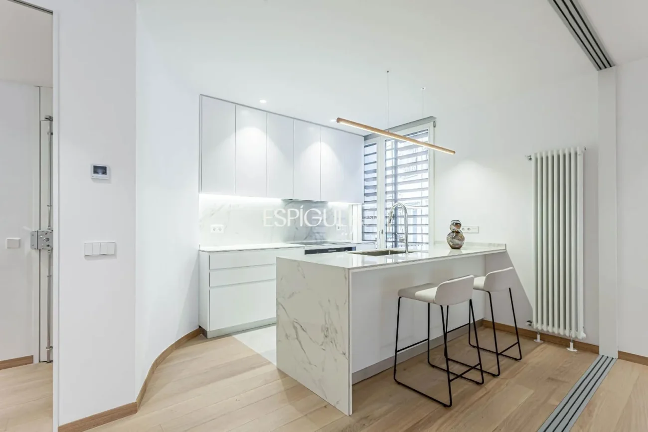 Exclusiva Vivienda en Ortega y Gasset