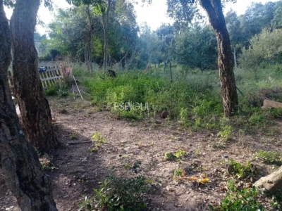 Parcela y casa de madera en Can Fornaca de Riudarenes
