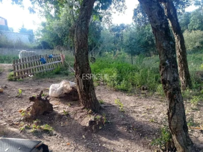 Parcela y casa de madera en Can Fornaca de Riudarenes