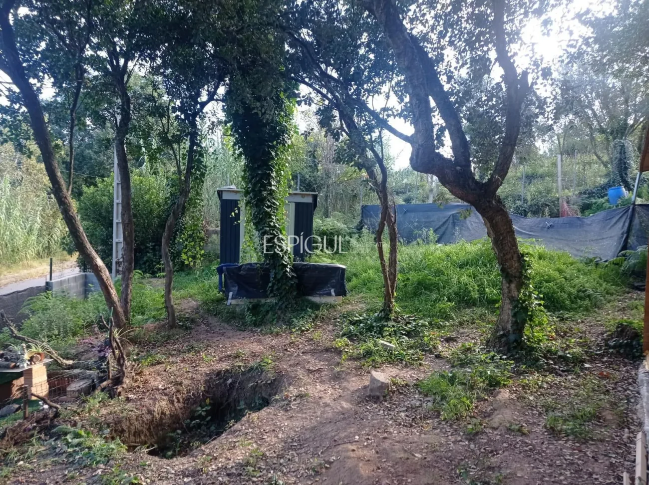 Parcela y casa de madera en Can Fornaca de Riudarenes