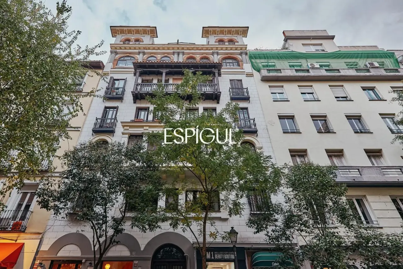 Appartement rénové et moderne dans la rue Don Ramon de La Cruz, Goya