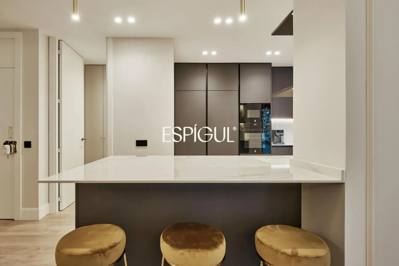 Renovated Exterior Apartment in Maria De Molina Street, Salamanca District