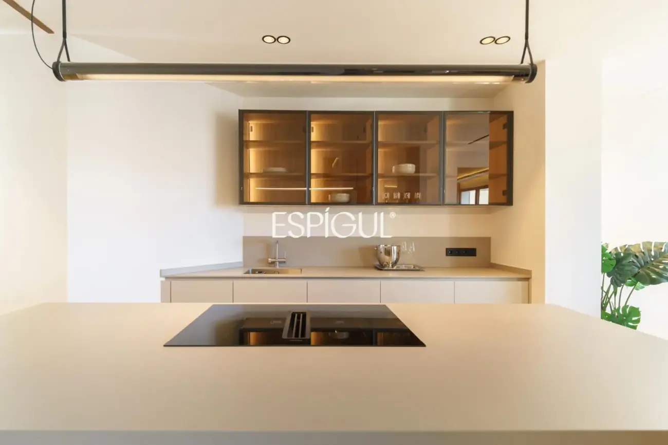 Penthouse exclusif à vendre avec terrasse rue Muntaner, Barcelone