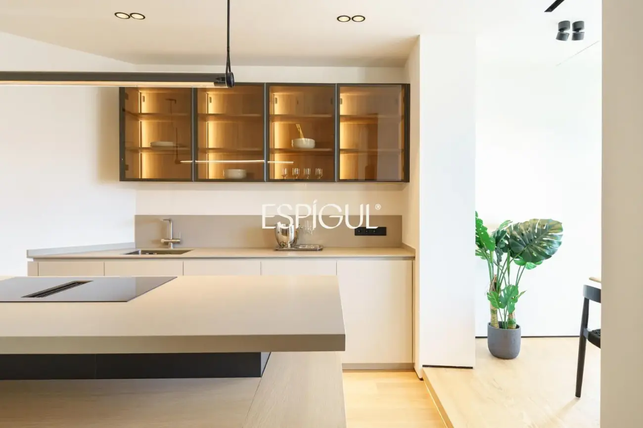 Penthouse exclusif à vendre avec terrasse rue Muntaner, Barcelone