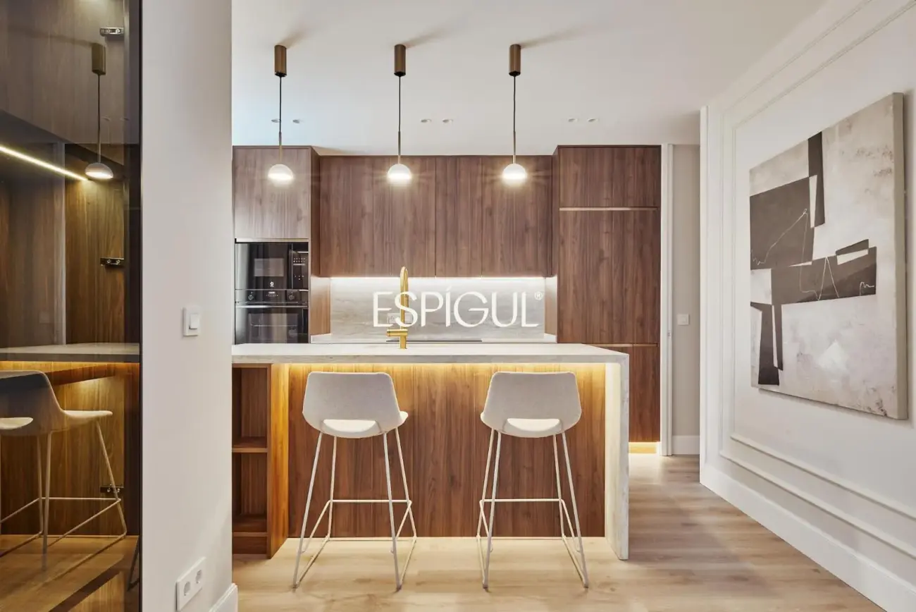 Безупречная квартира на улице Генерала Диаса Порлье